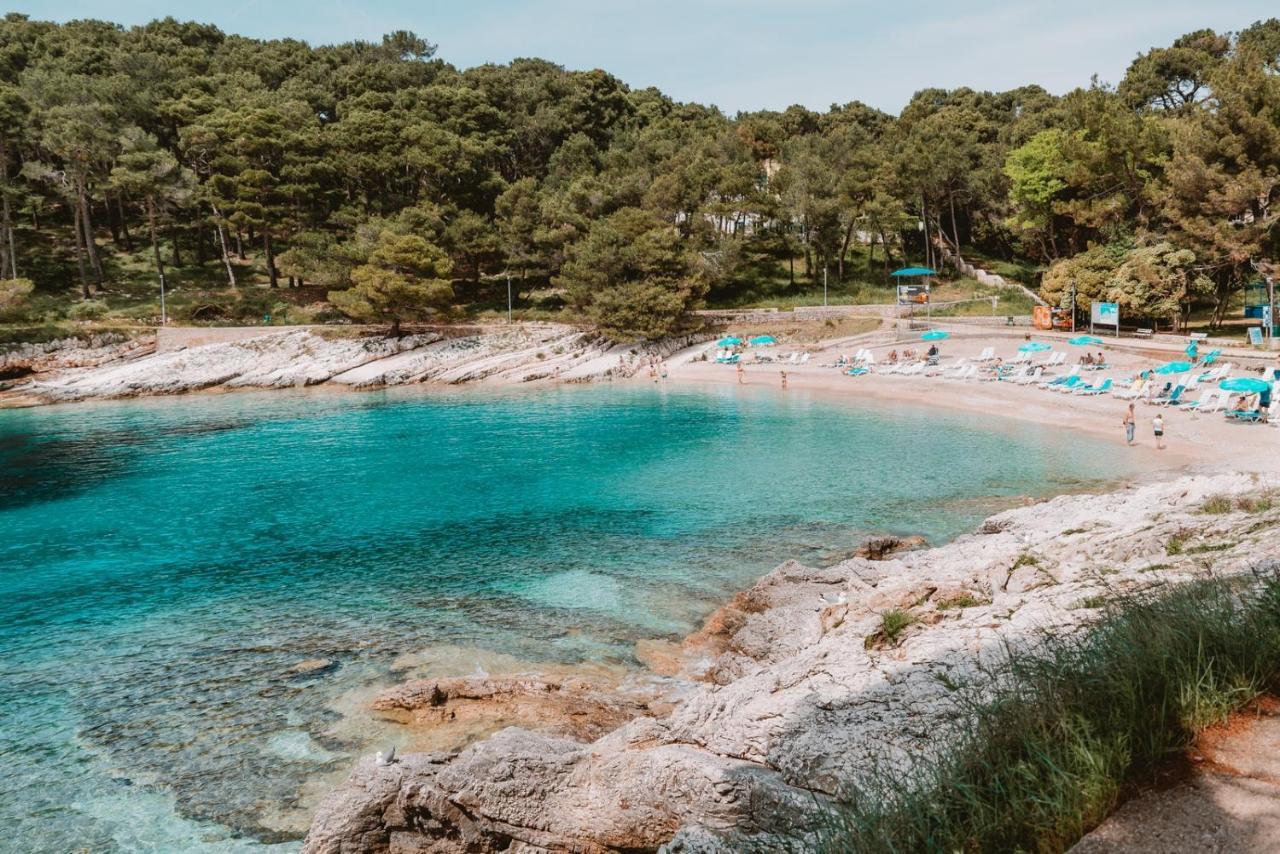 Studio Apartment Pinetree - Mali Losinj Mali Lošinj Exterior foto